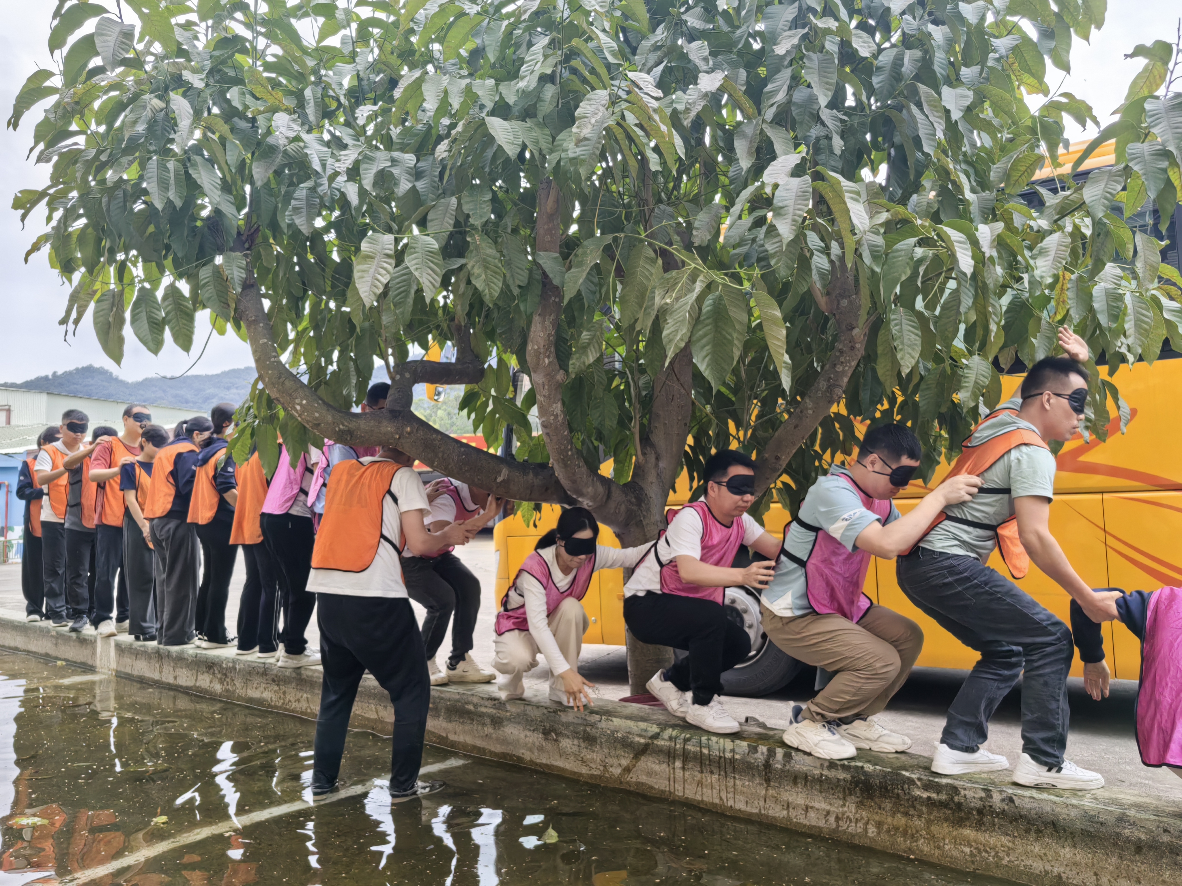 1764572343142665.jpg bae9a46ffa0f9ec4a0954ec19977e66f(1).jpg